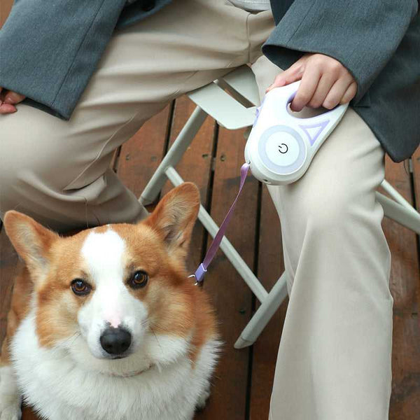 Retractable Dog Leash with Collar for Small Dogs (