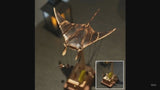 Flying Manta Ray Automata | Wooden Kinetic Sculpture | Mechanical Manta | Wood Art | Home Decor